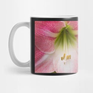 Pink reddish amaryllis Mug